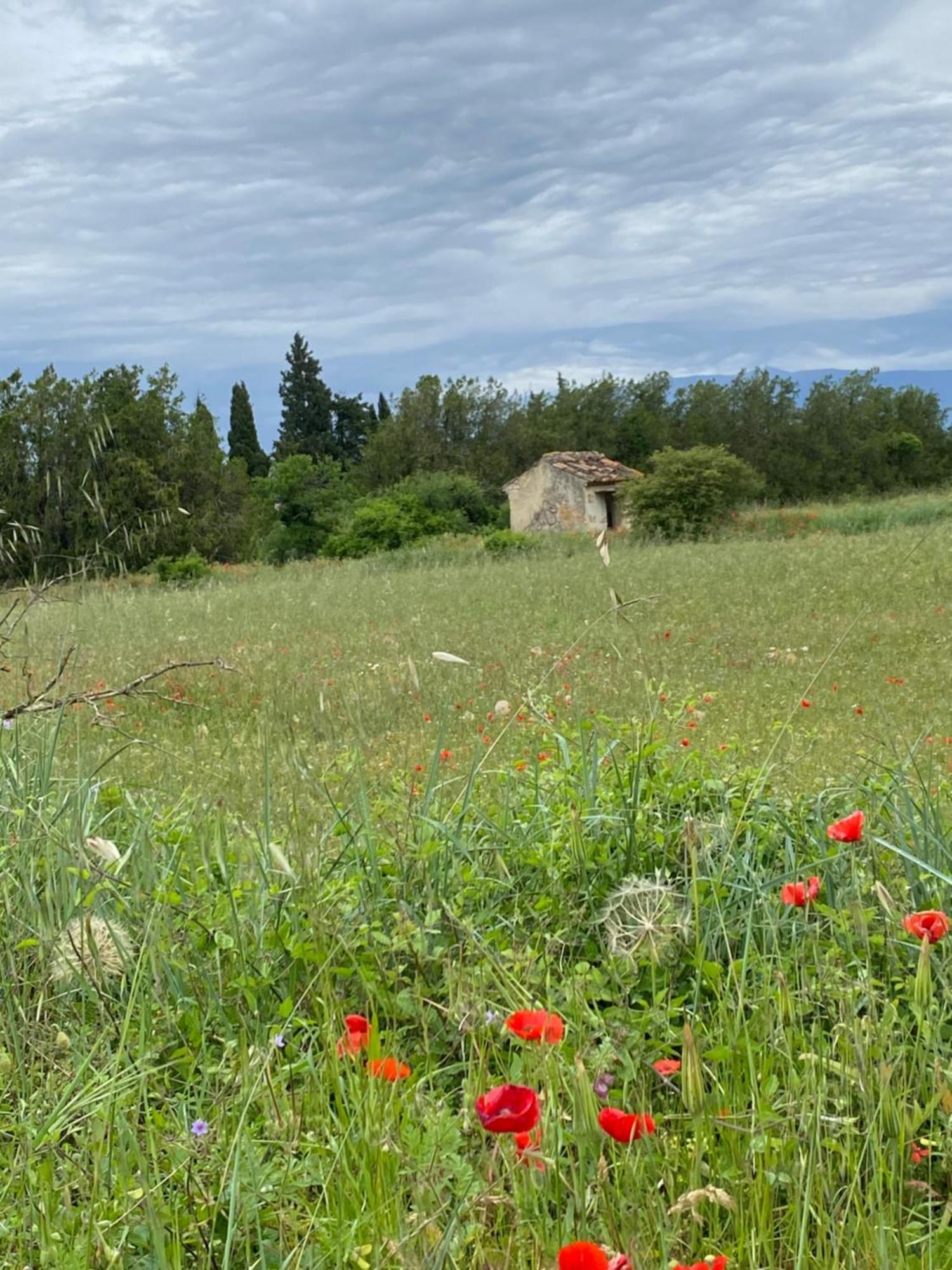 Inspiration Maison Entiere Avec Jardin Pernes-les-Fontaines Eksteriør billede